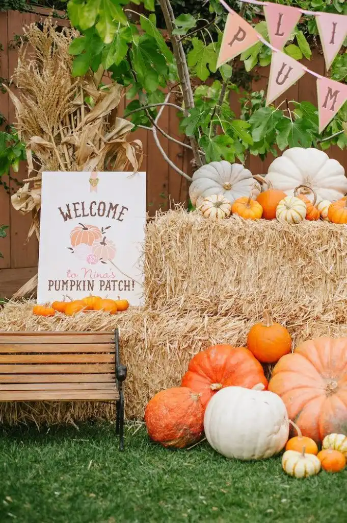 Design a Pumpkin Patch
