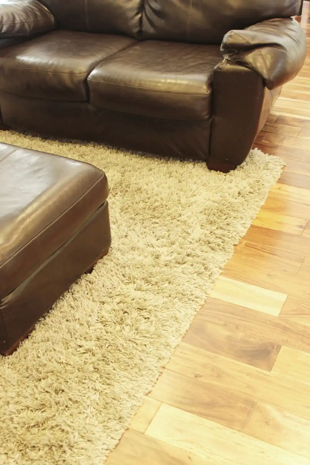 Designate the living room space