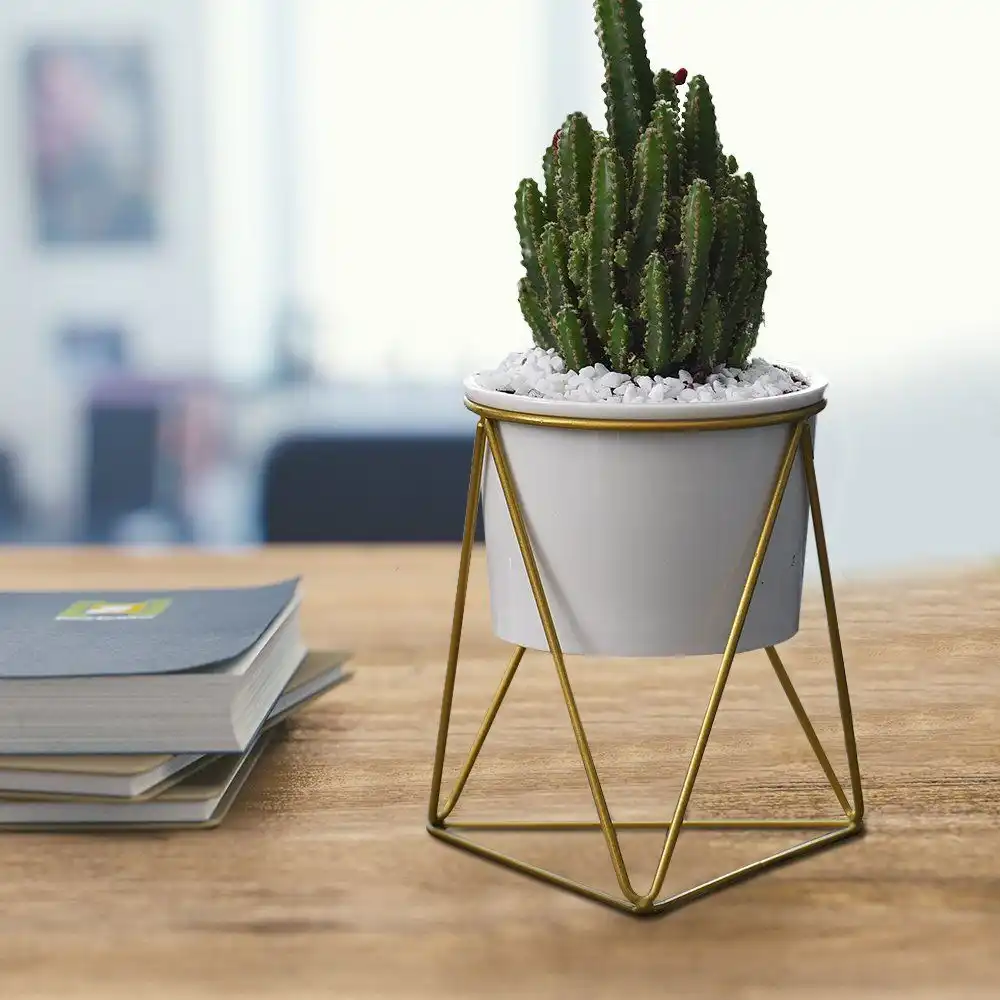 Desk plant stand from wire