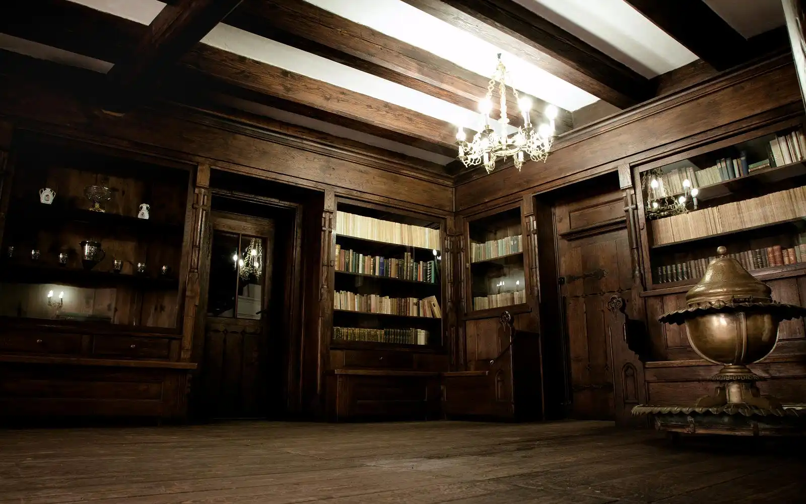 The library room is impressive and the atmosphere inside is calming and mysterious