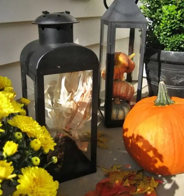 Dried Corn Lantern Display