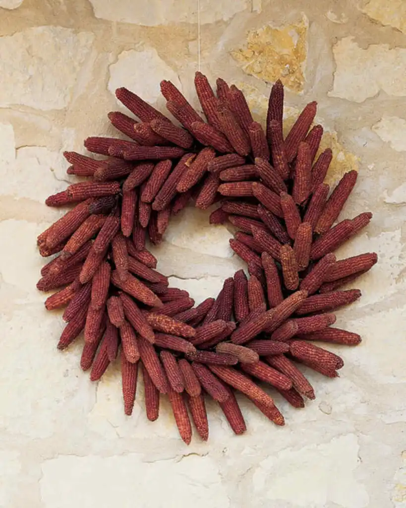 Dried Corn Wreath