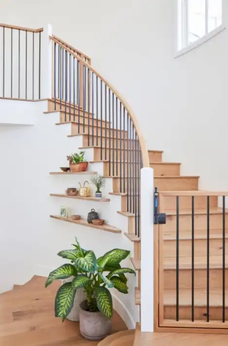 Easiest House plants To Grow