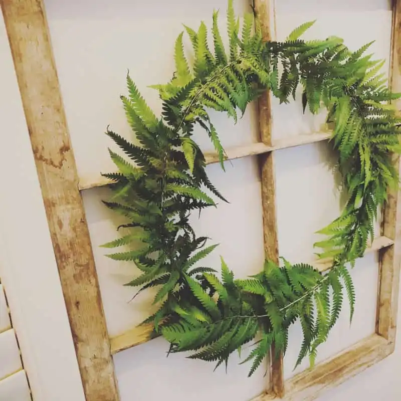 Easy DIY Fern Wreath