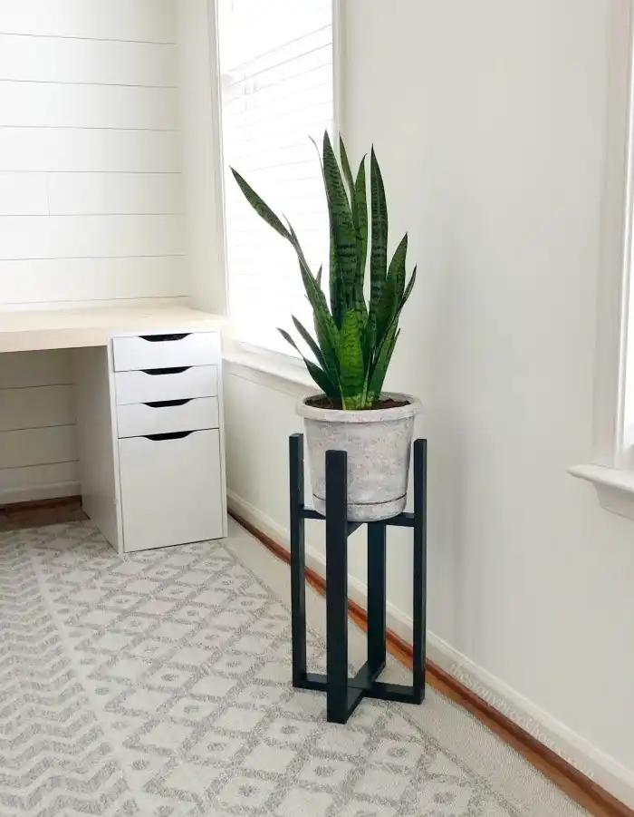 easy DIY plant stands