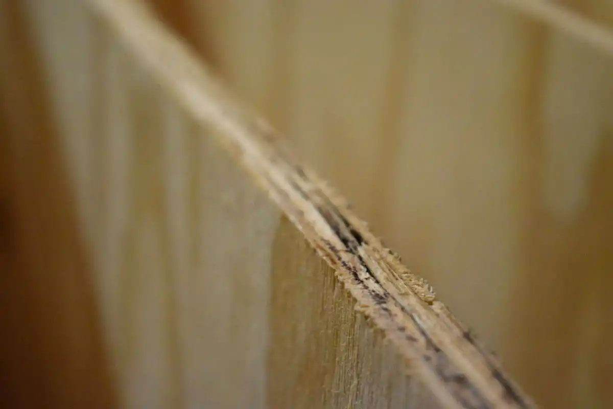Edge of wood