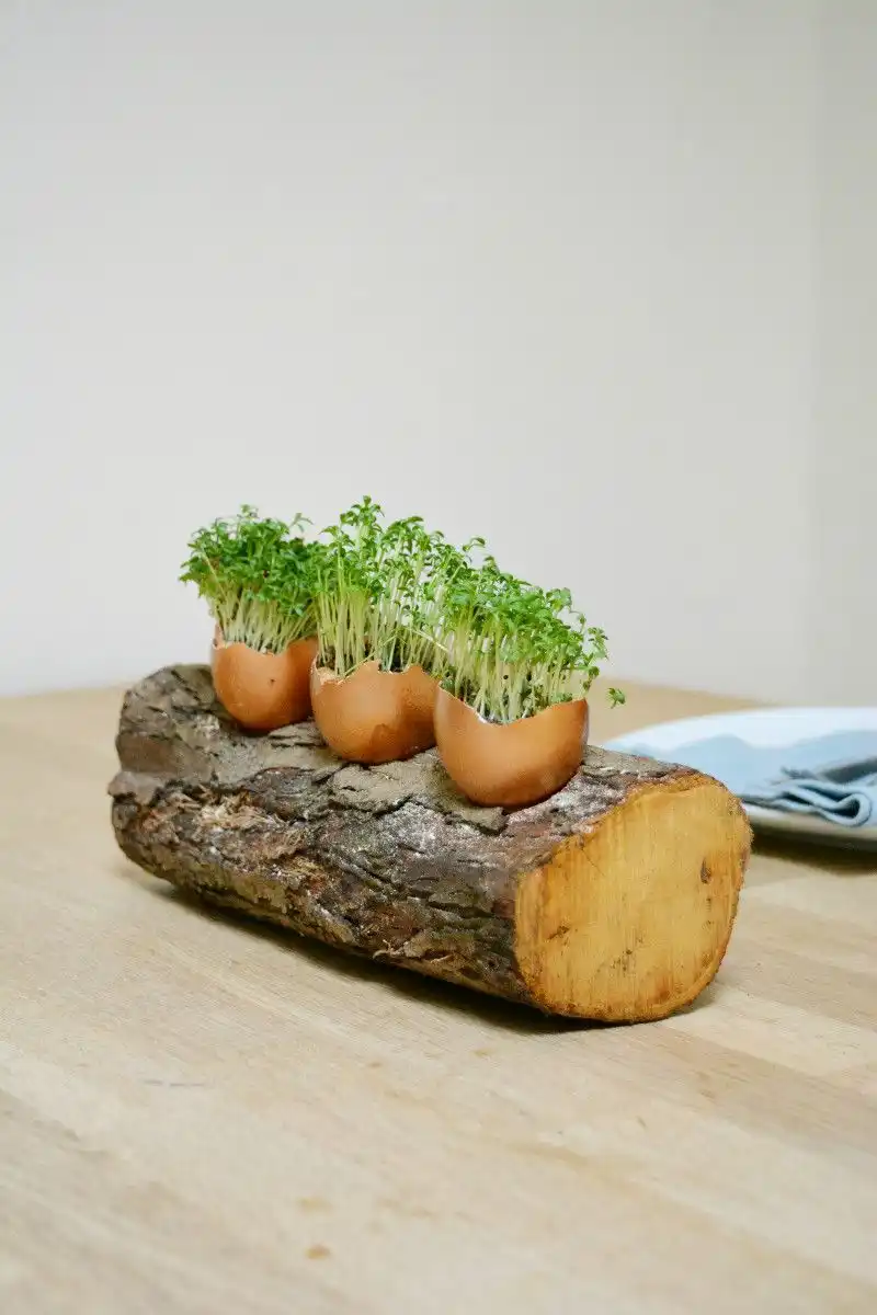 Egg shell easter table decoration