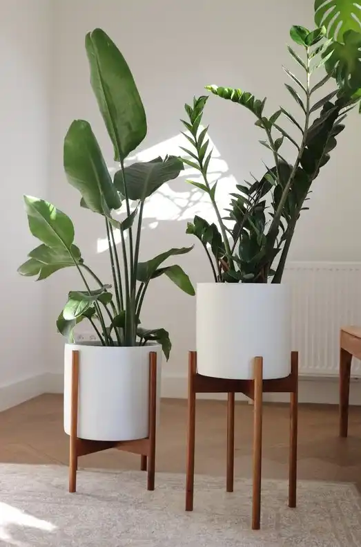 Où acheter des plantes en ligne pour s'assurer qu'elles sont saines 14 Elanah 2 Piece Fiber Stone Pot Planter and Stand Set