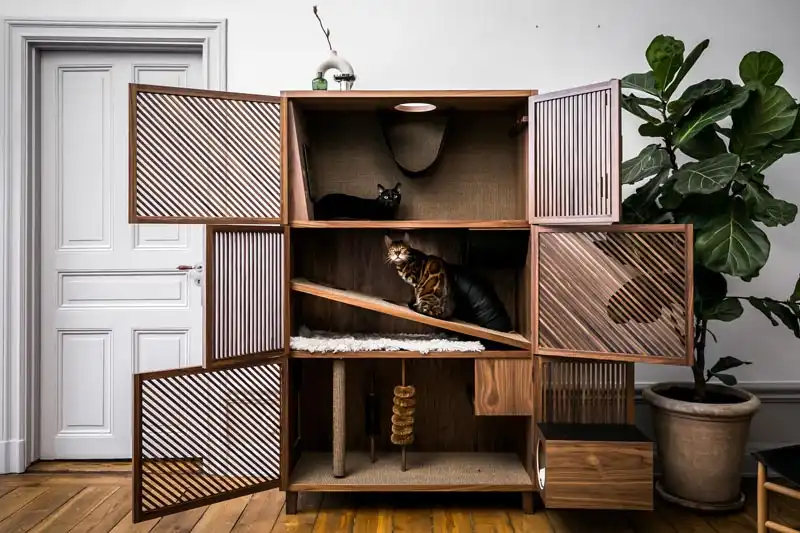 Eleonor Moschevitz created The Cat Flat
