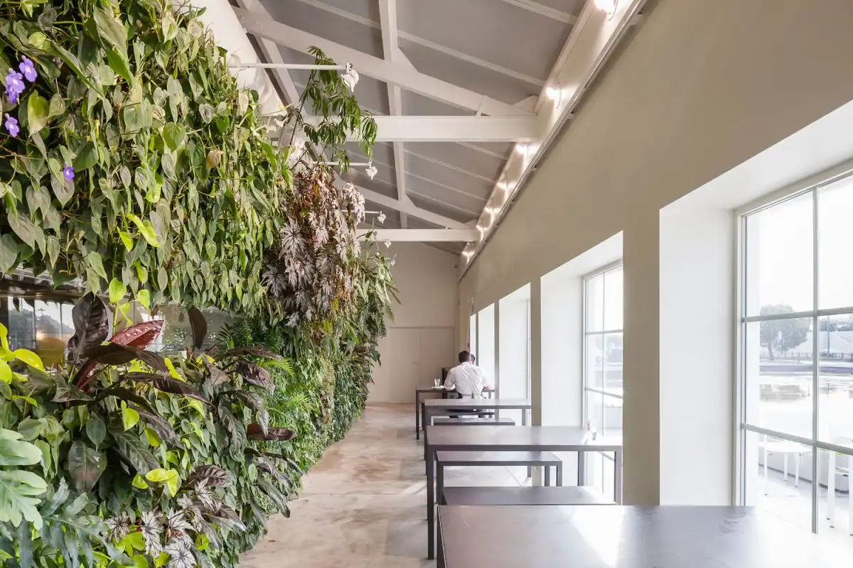 Espelho D' Água Space with Vertical Garden