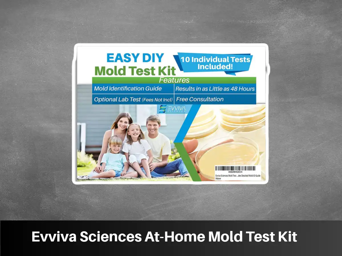 Evviva Sciences At-Home Mold Test Kit