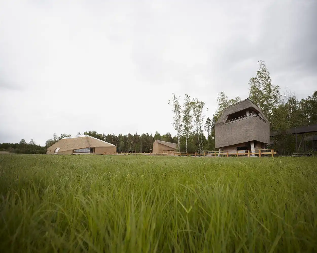 Facts Tåkern Visitor Centre Cool Roof