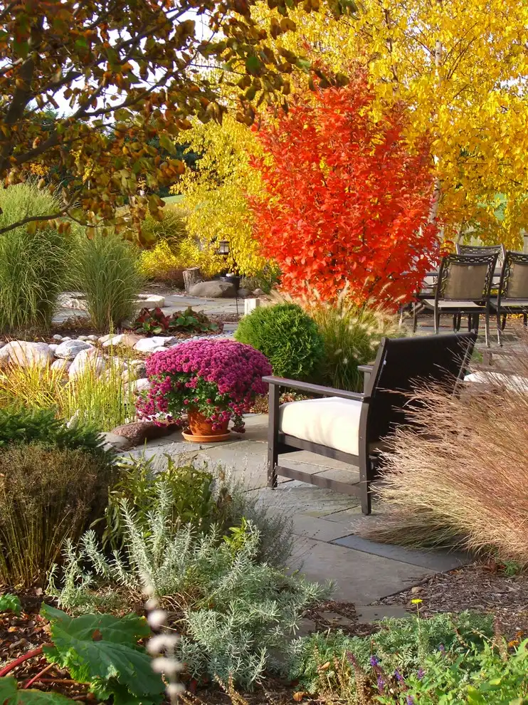 Fall Foliage