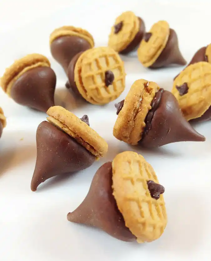 Fall Party Decor Peanut Butter and Chocolate Acorns