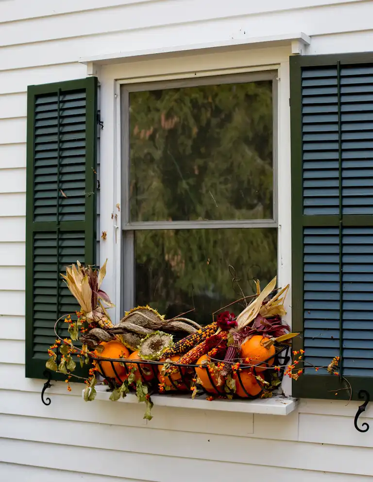Fall Window Boxes