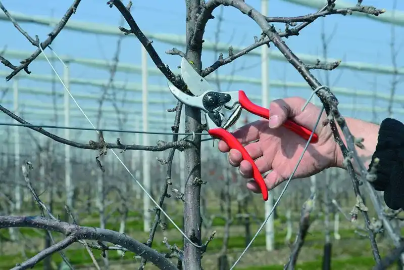 Felco F 2 068780 Classic Manual Hand Pruner
