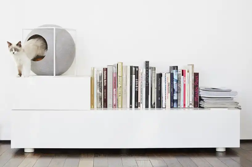 Feline felt furniture