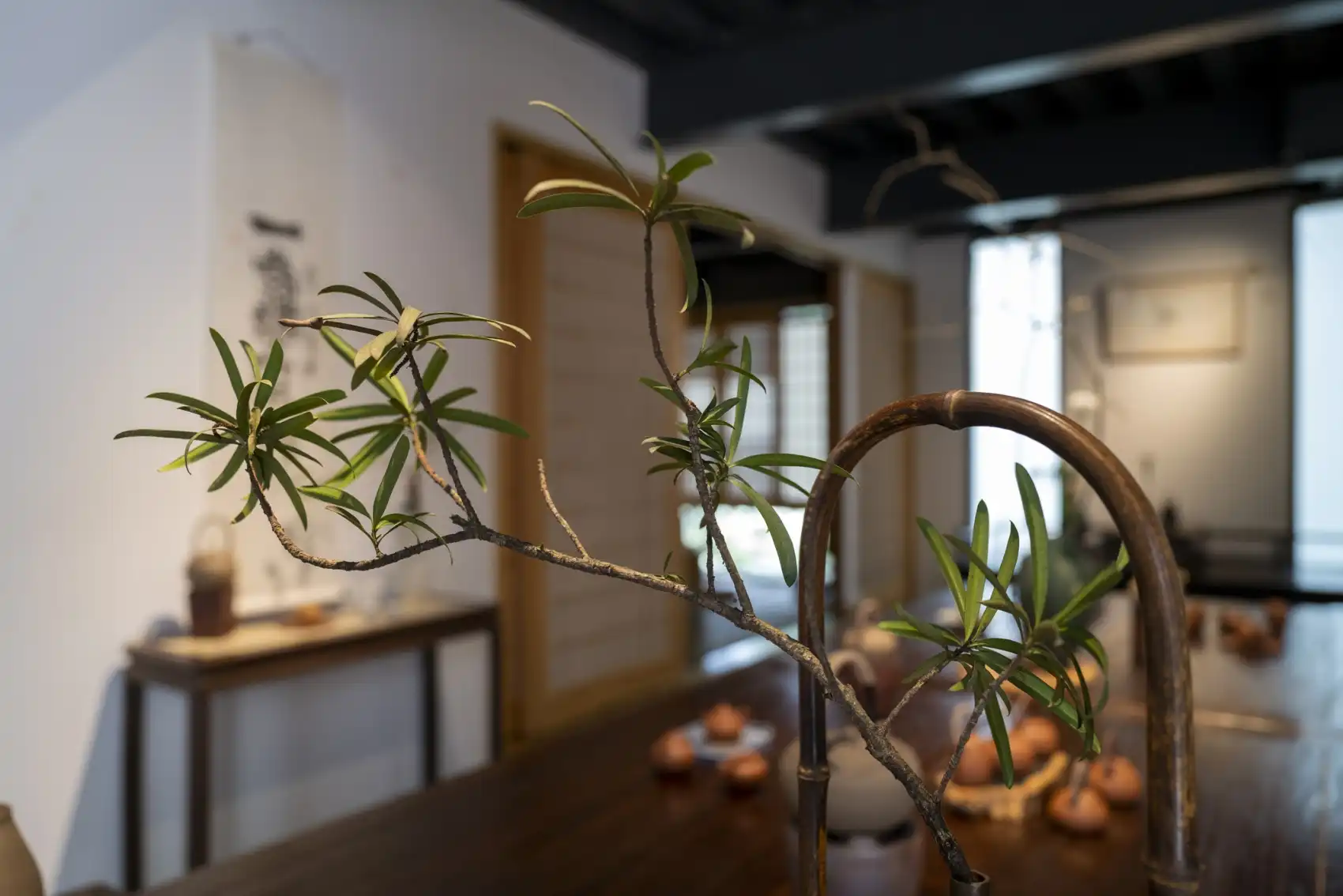 10 Feng Shui Plants For Front Door Entrances