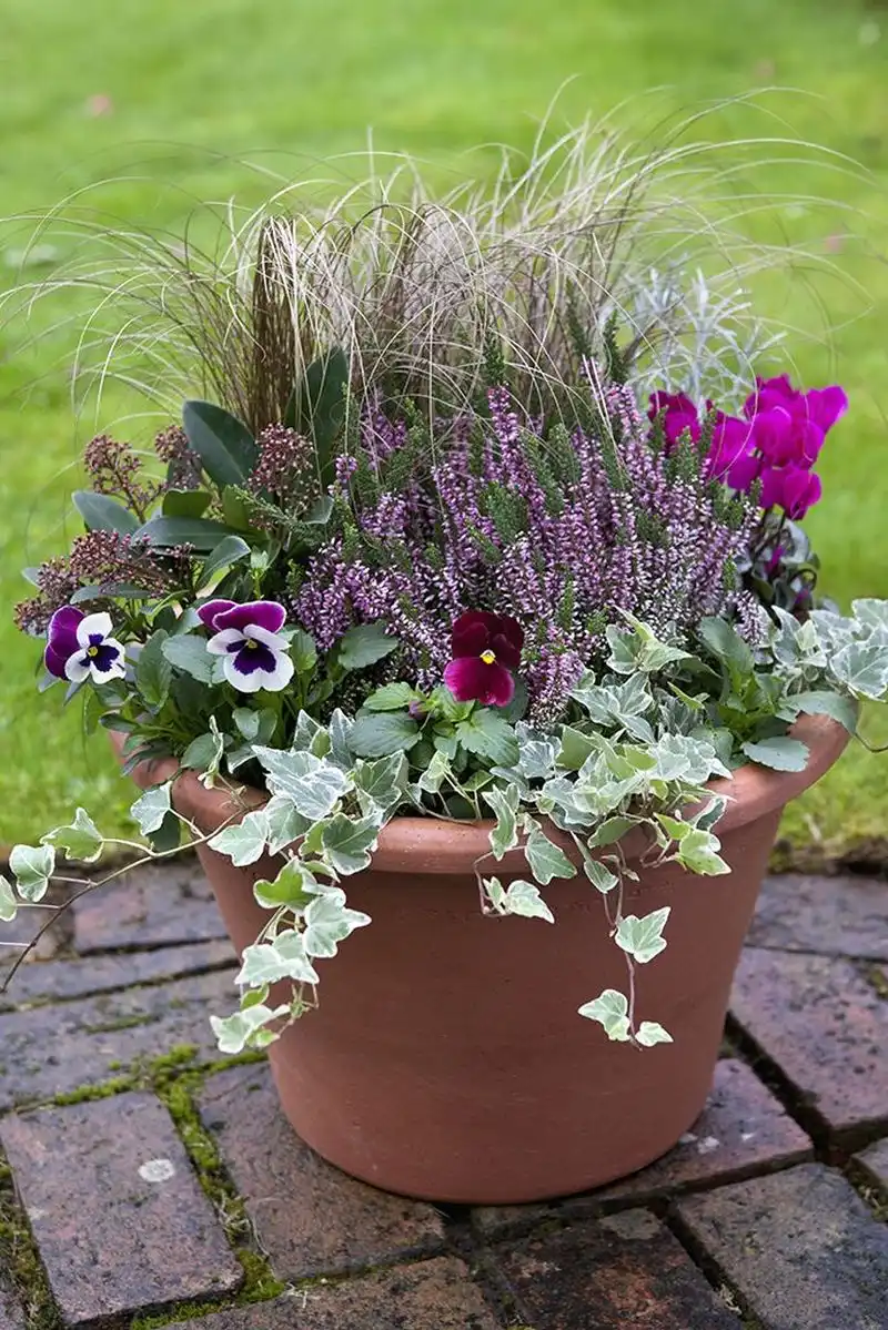 Filling Terracotta Pots