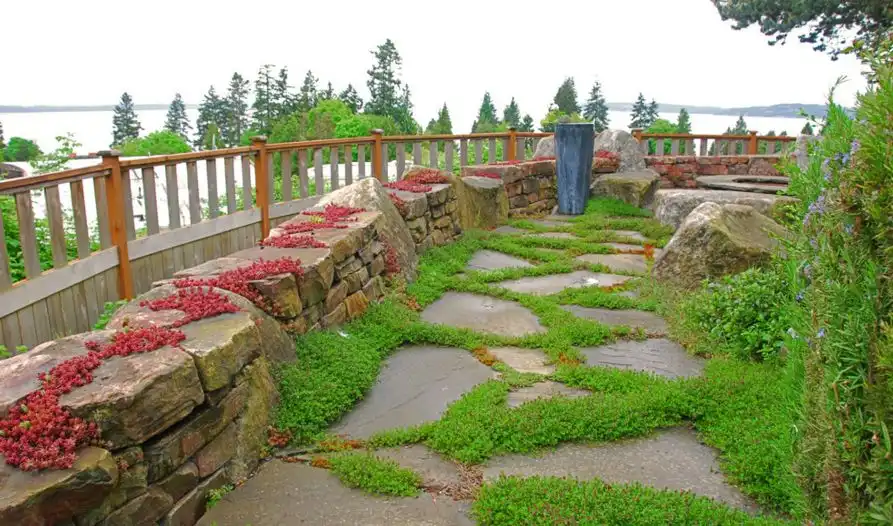 Flagstone walkways are particularly beautiful, this look suiting them really well