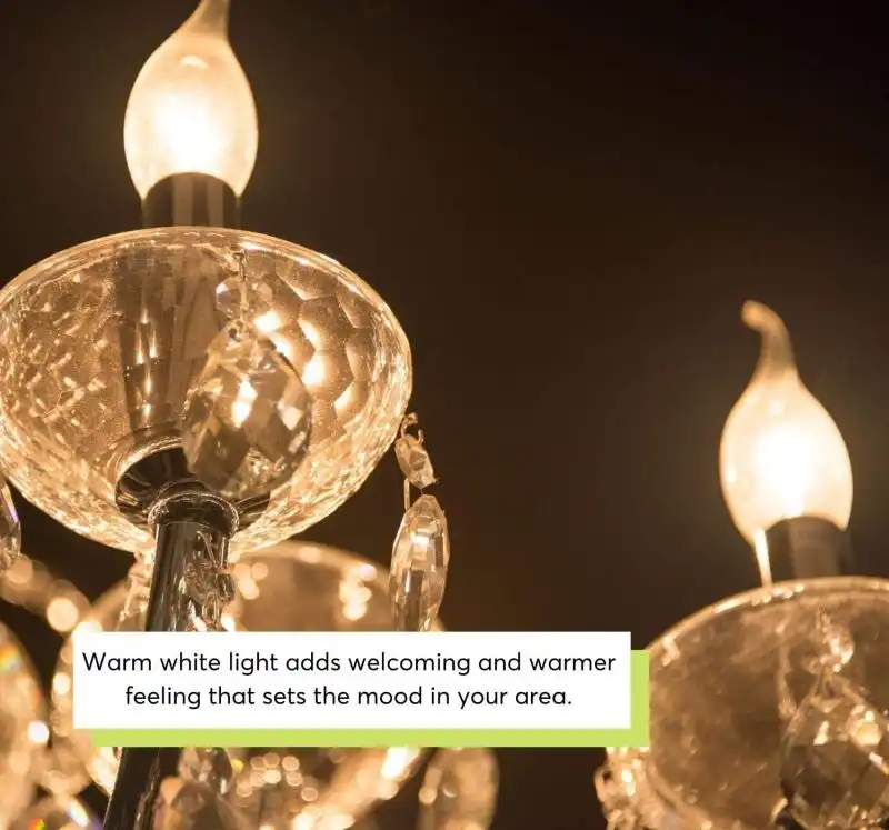 Flame Shaped Bulb