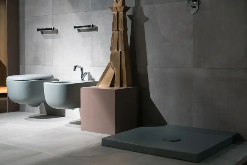 Floating toilet and bided - modern bathroom must have