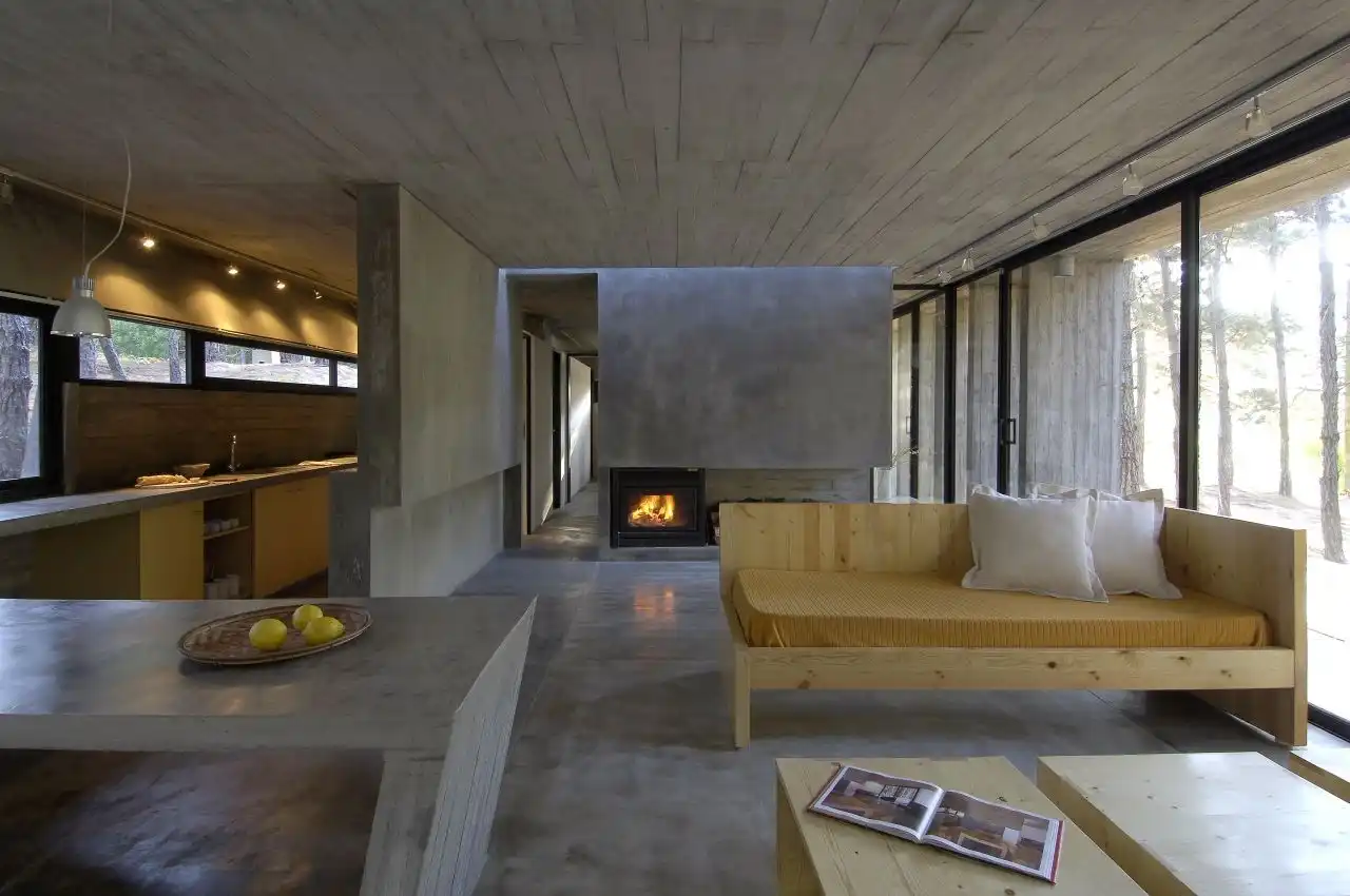 Forest concrete house interior