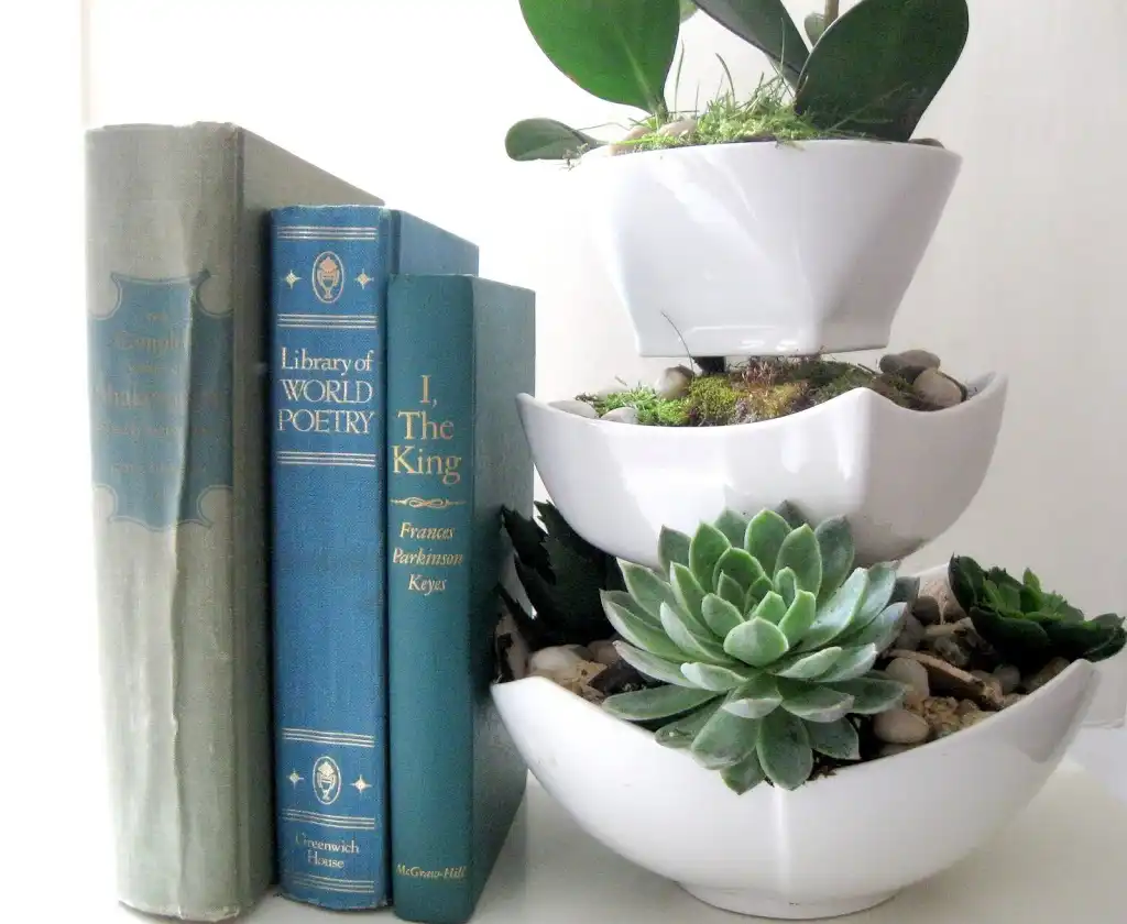 Fresh and succulent flower pots
