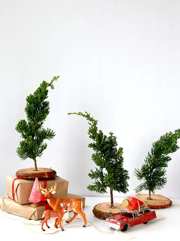 Fresh mini trees