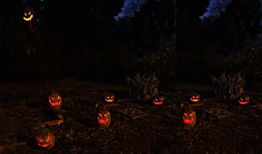 Front yard pumpkin decorating night