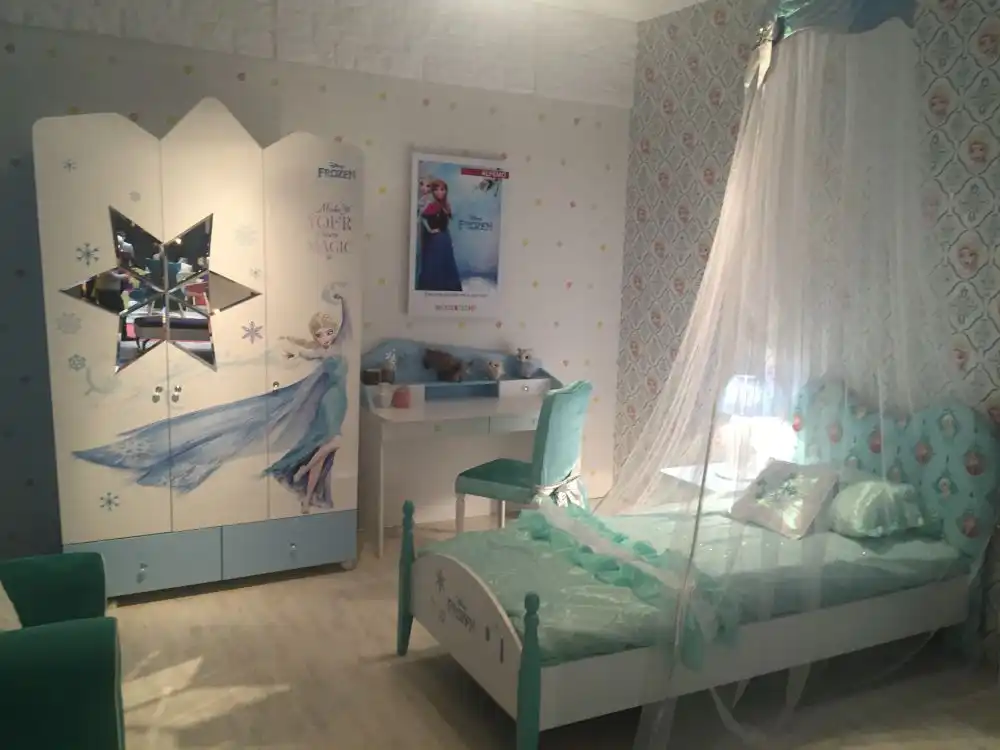 Frozen theme bedroom design idea