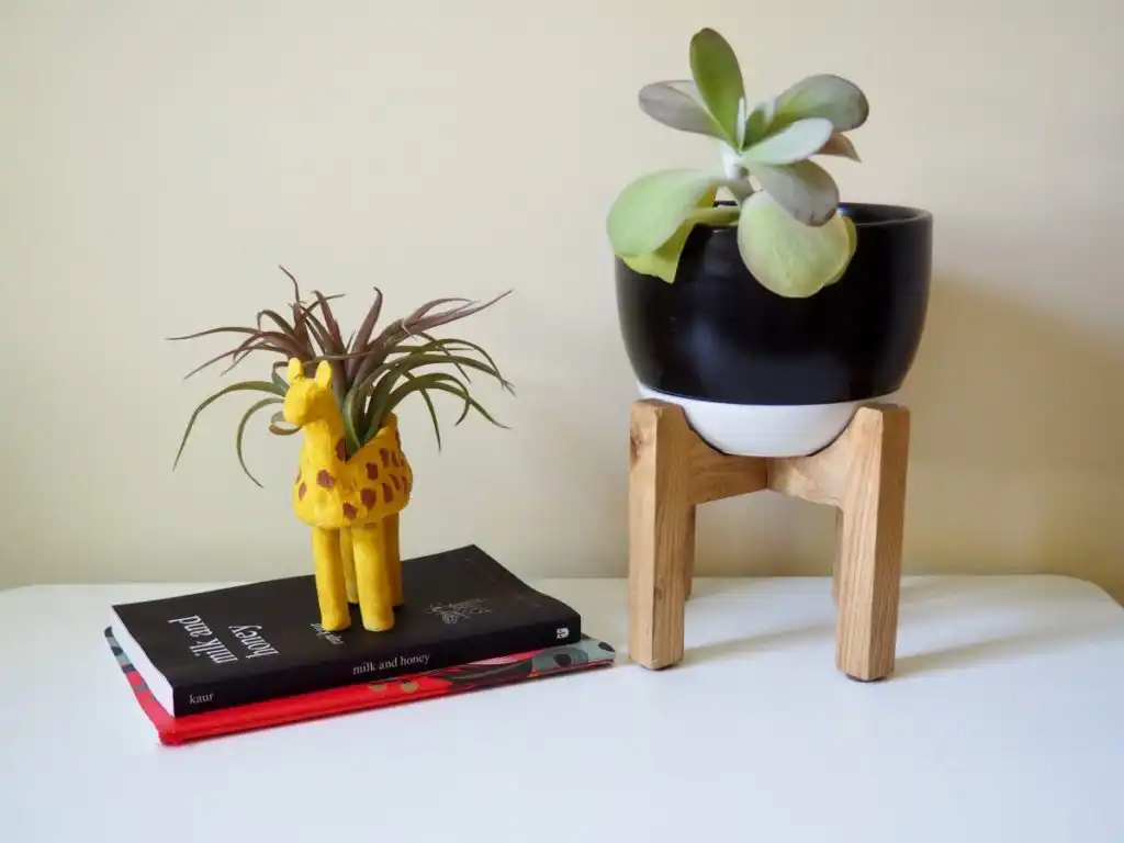 Funny Clay Giraffe Planter