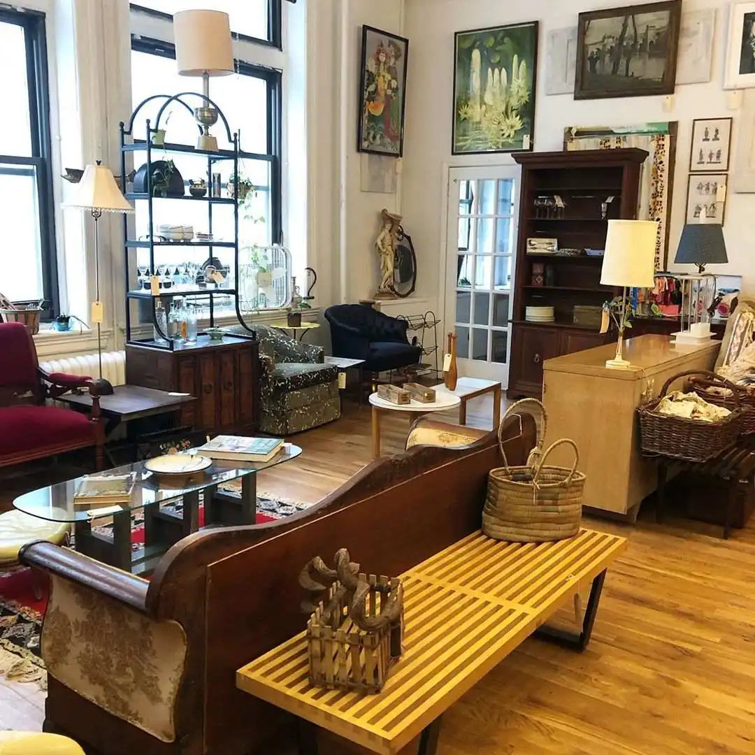 Furnish green store in NYC