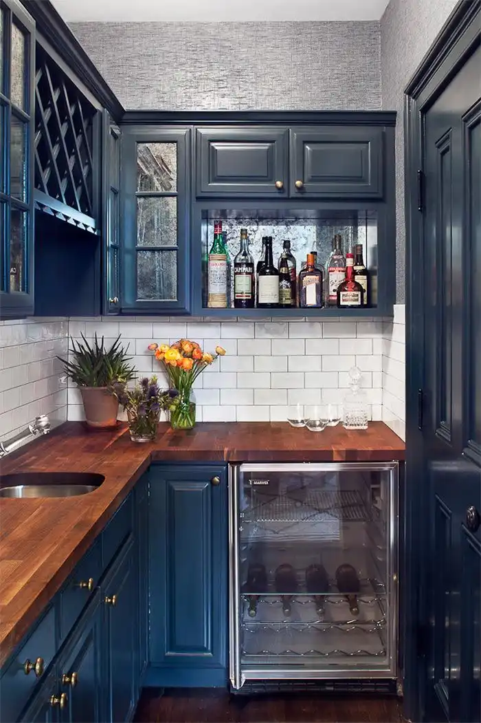 Galley kitchen green plants