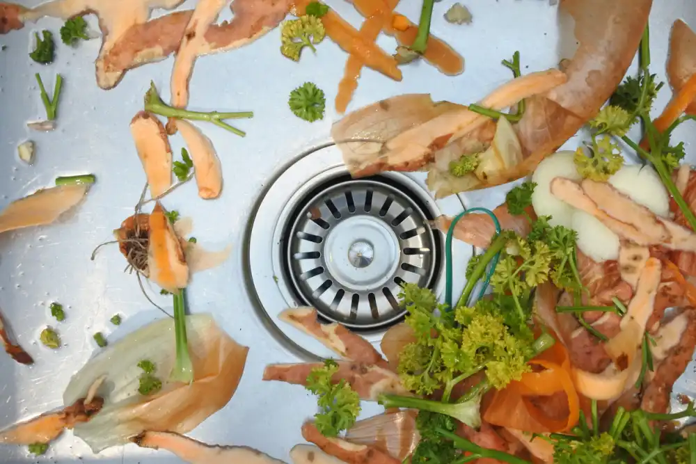 Garbage Disposal Troubleshooting 
