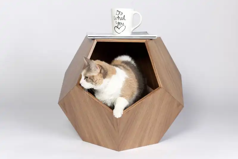 Geometric modern cat cave