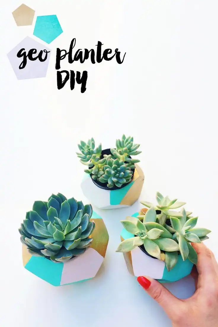Geometric succulent planter