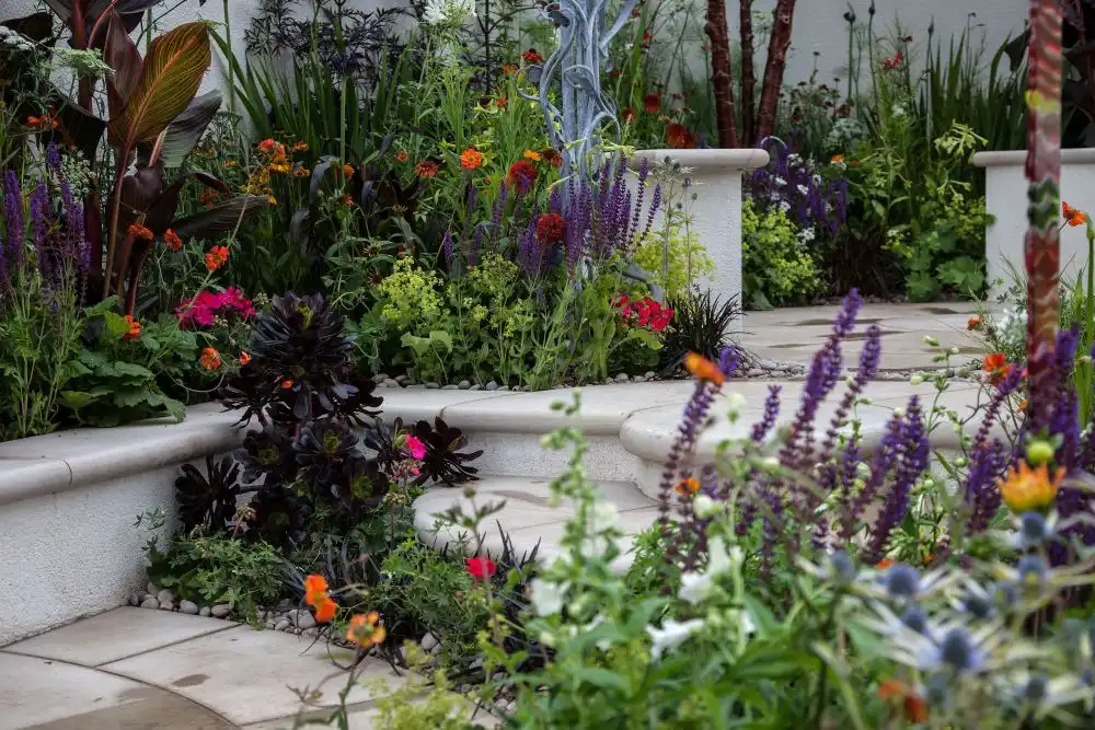 Get rid of weeds