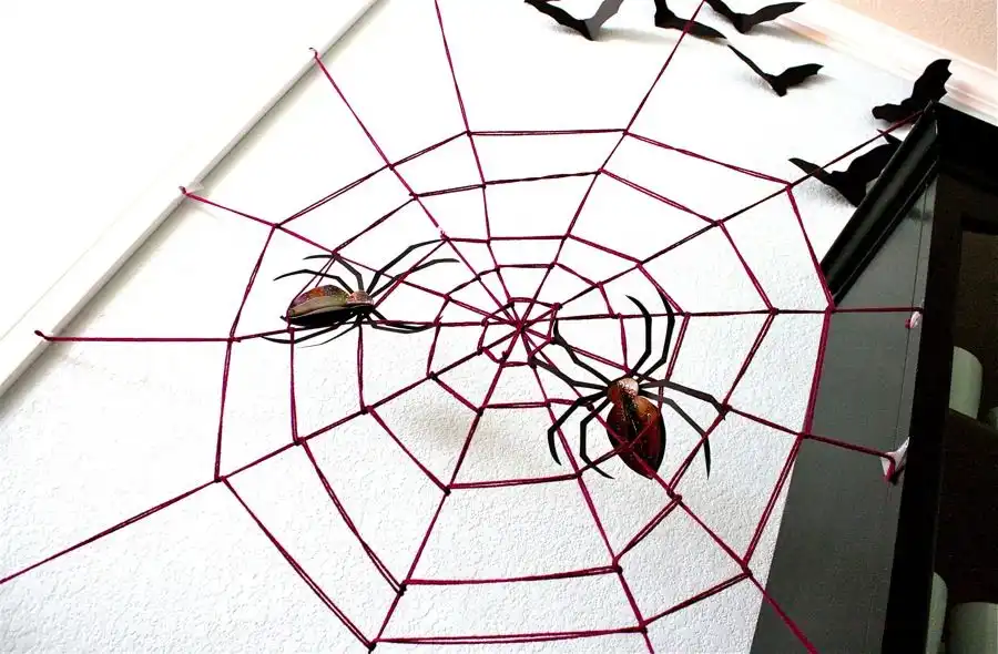 Giant spider web on the wall