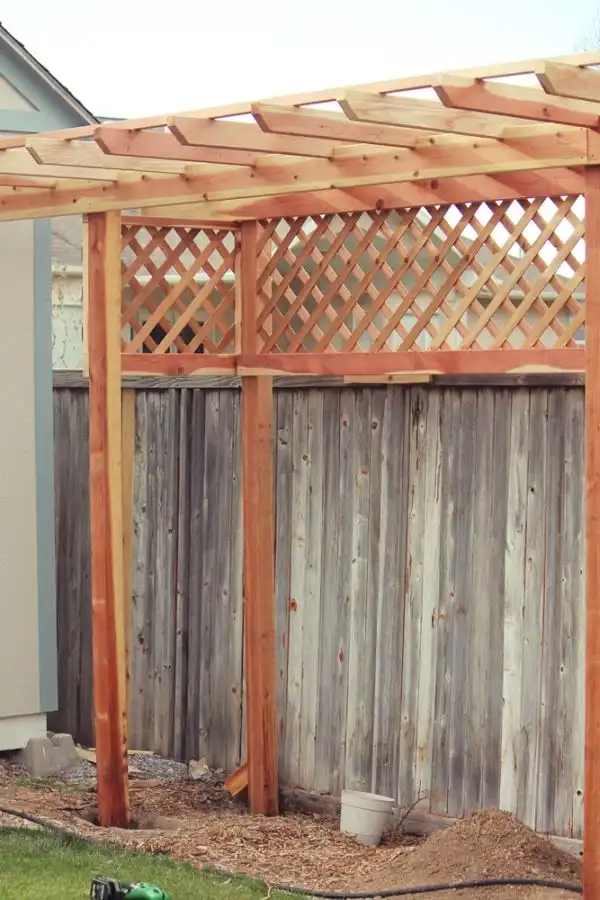 Grape Arbor