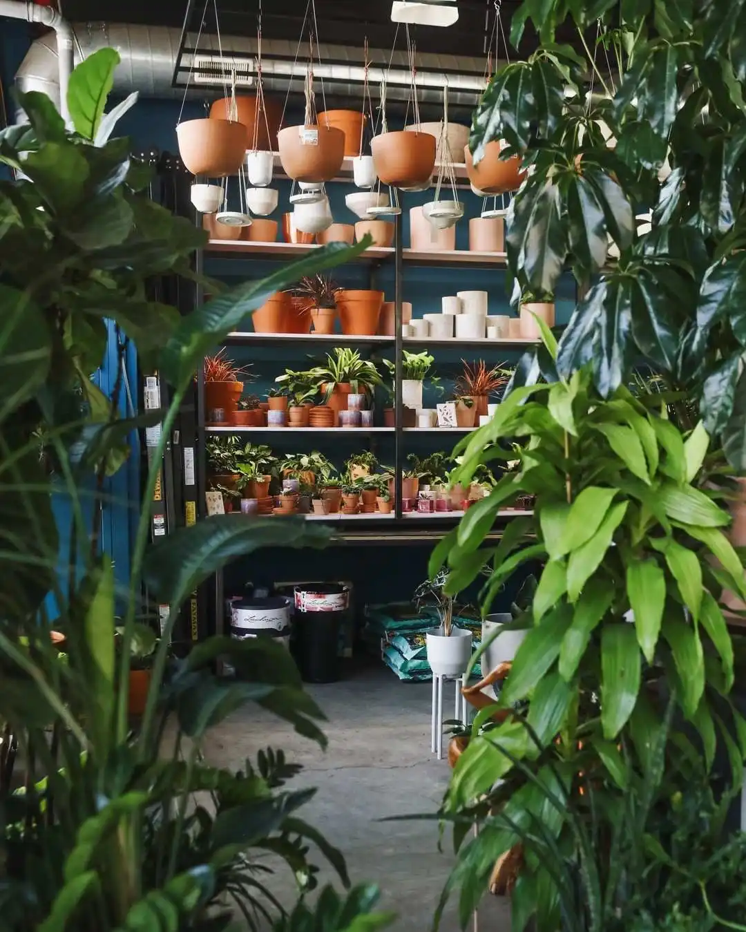 Green unlimited store