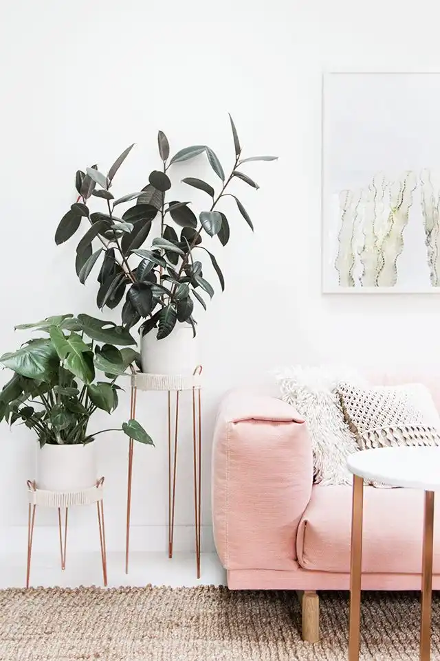 Hairpin legs plant stand from copper