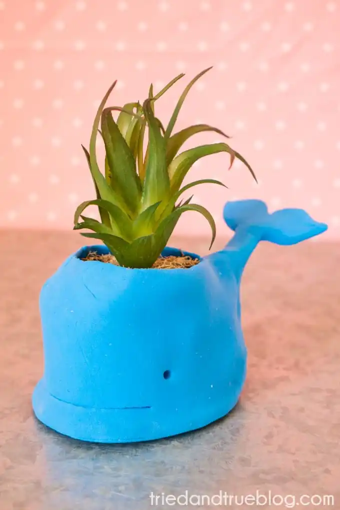 Handmade Whale Clay Pot