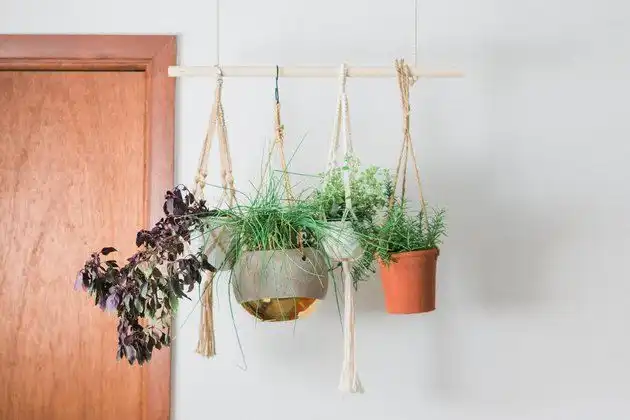 Herb garden hanging