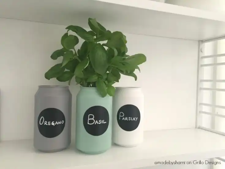 Herb garden soda cans