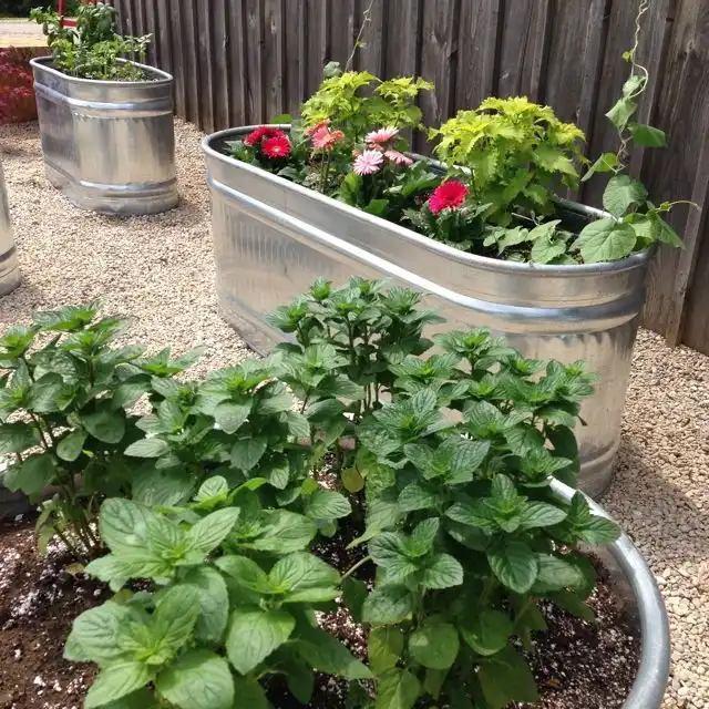 Herbgarden from galvanized tubs