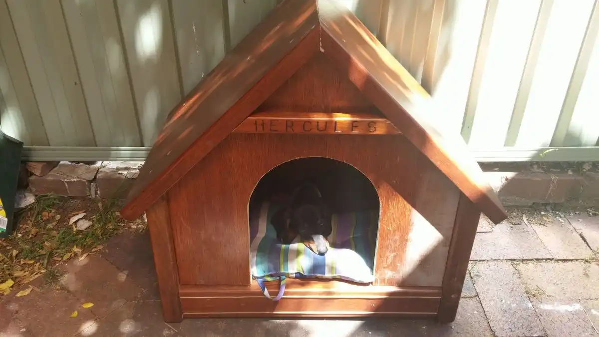 Hercule dog house made from Recycled materials