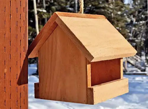 House-shaped bird feeder