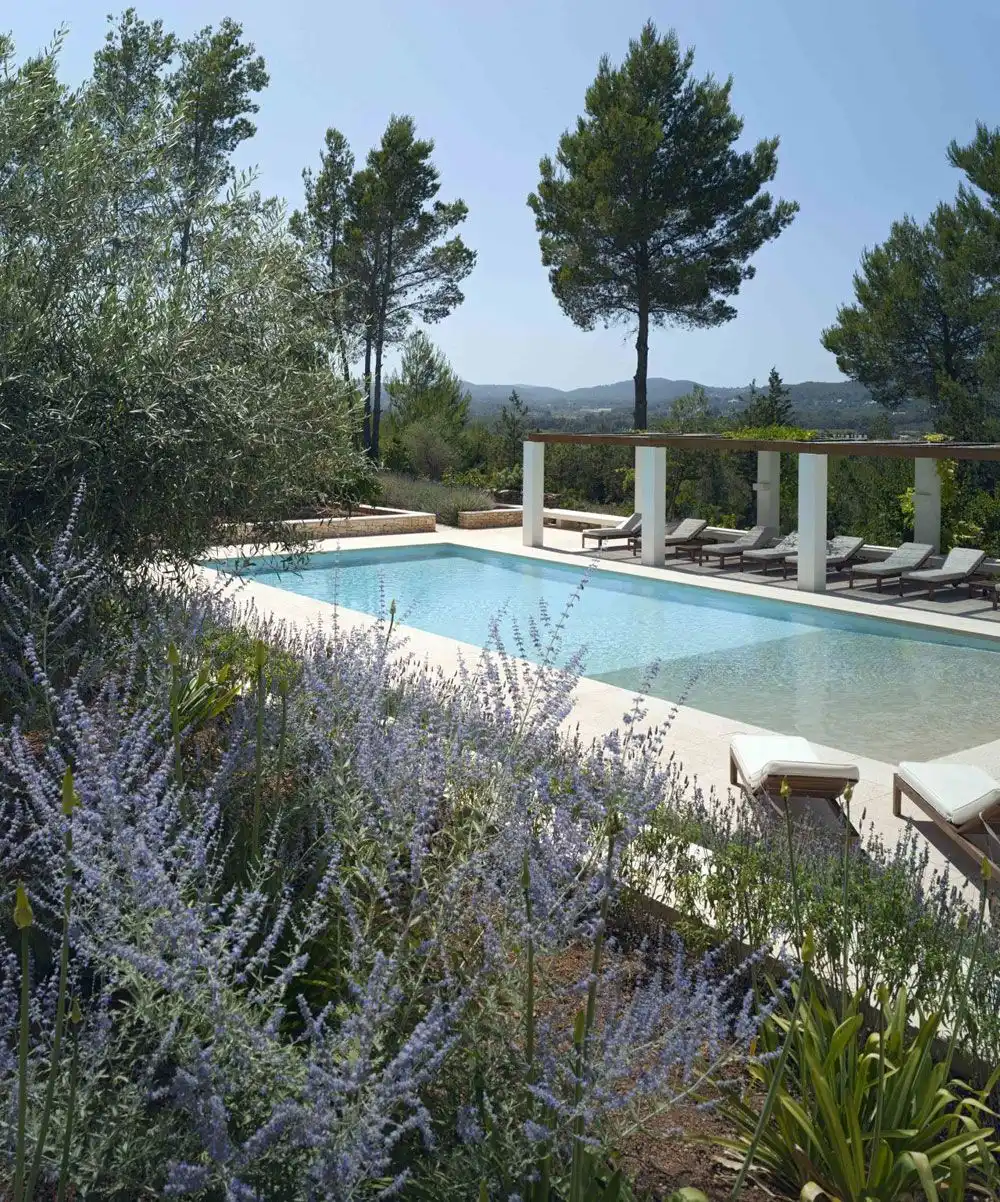 House with beautiful pool and large pergola