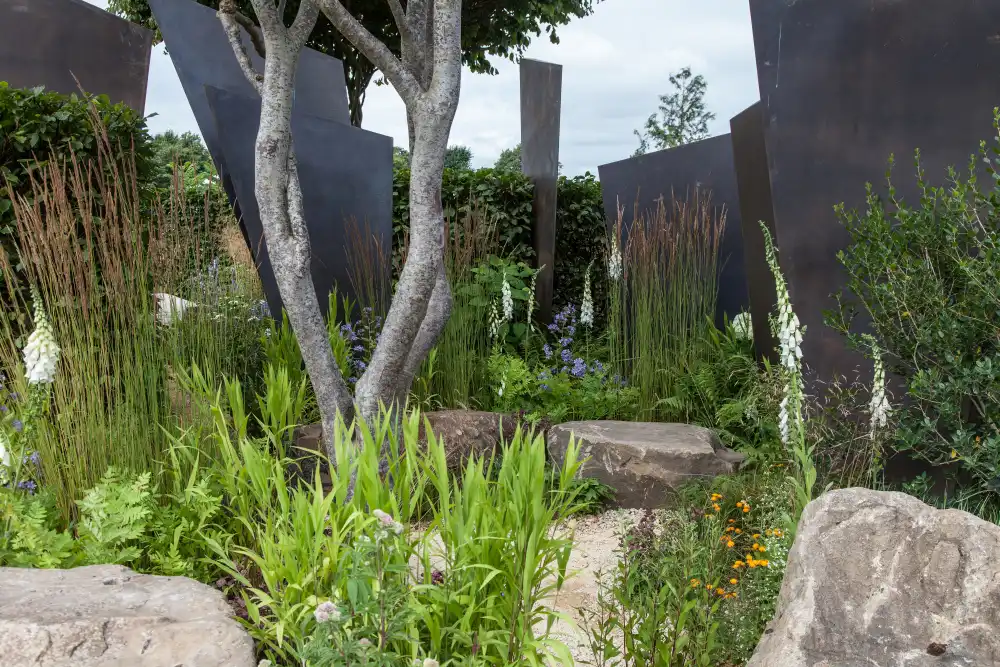 Is Epsom Salt Good For Plants?